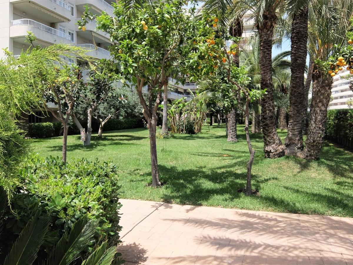 Parque Mota - Alquiler Solo A Familias Playa de Gandia Exterior foto